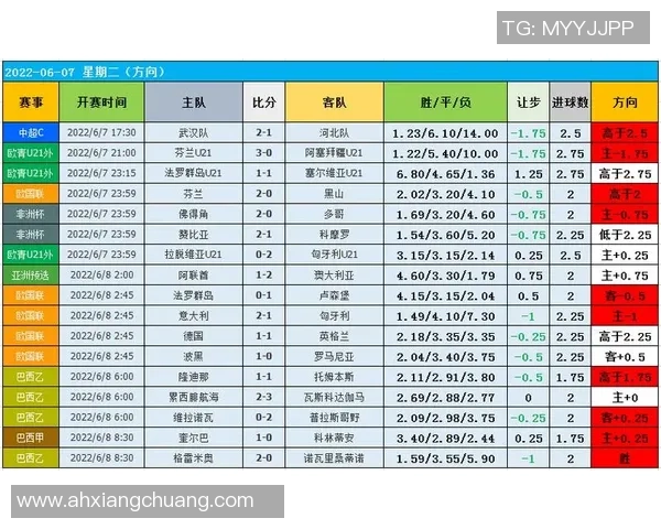 南京乒乓球队个人能力表现的全面数据分析与洞察探讨